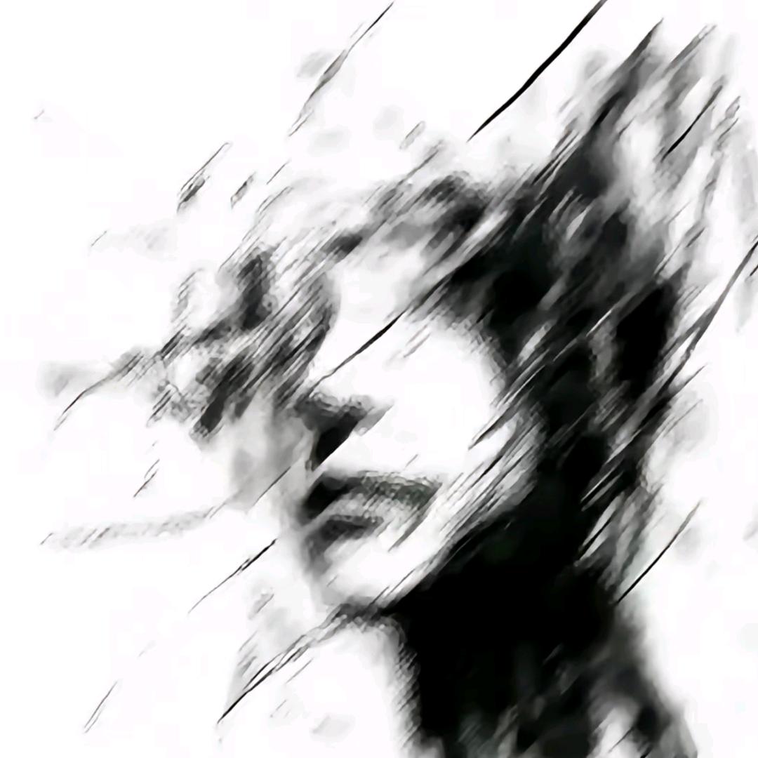 小豪（温九团队）