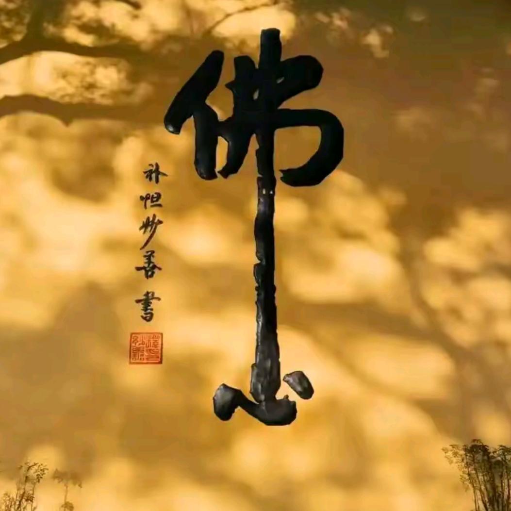 子杨谈修行