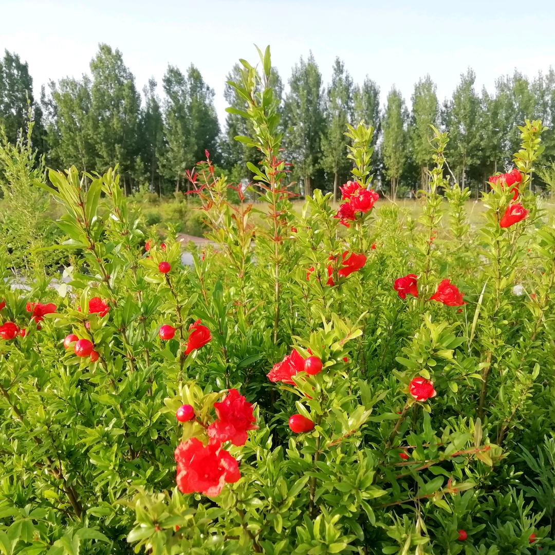 a🐳冷雨⁹²⁷⁷