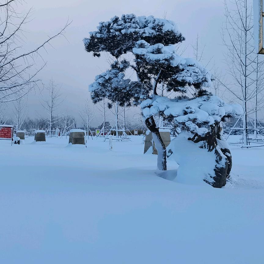 王者荣耀亚瑟辅助就是玩