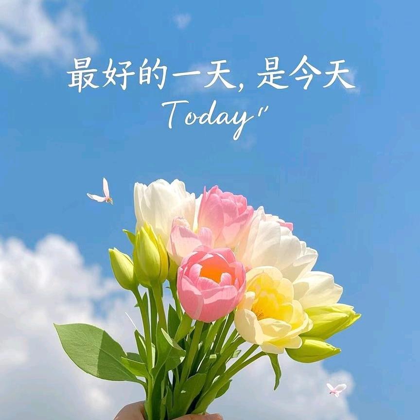 半颗糖🍬