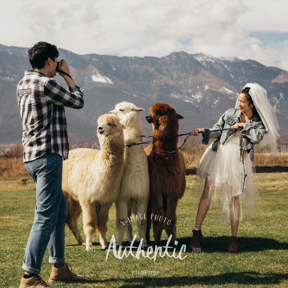 浩视觉茉咔摄影【临河店】