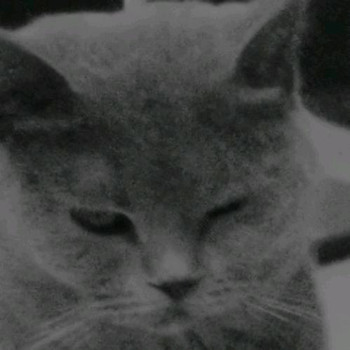 奶奶和她的大孙女儿😜