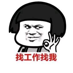综合就业咨询  曲主任