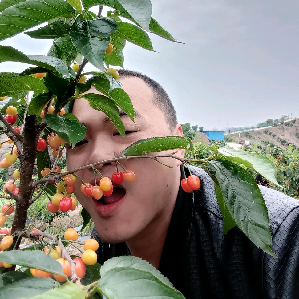专业打孔