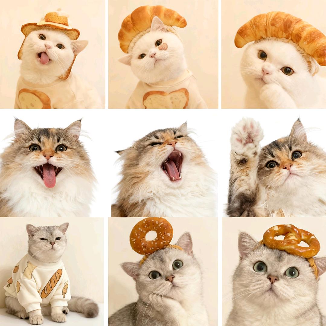 钟可以🐱林牛牛