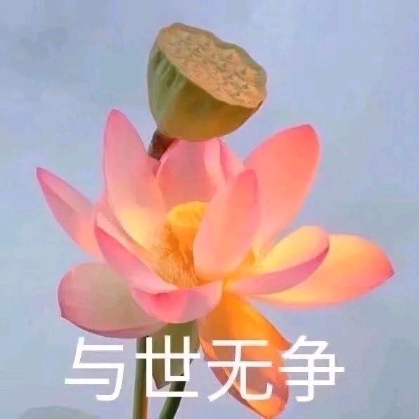 饼干大侠(与世无争版)