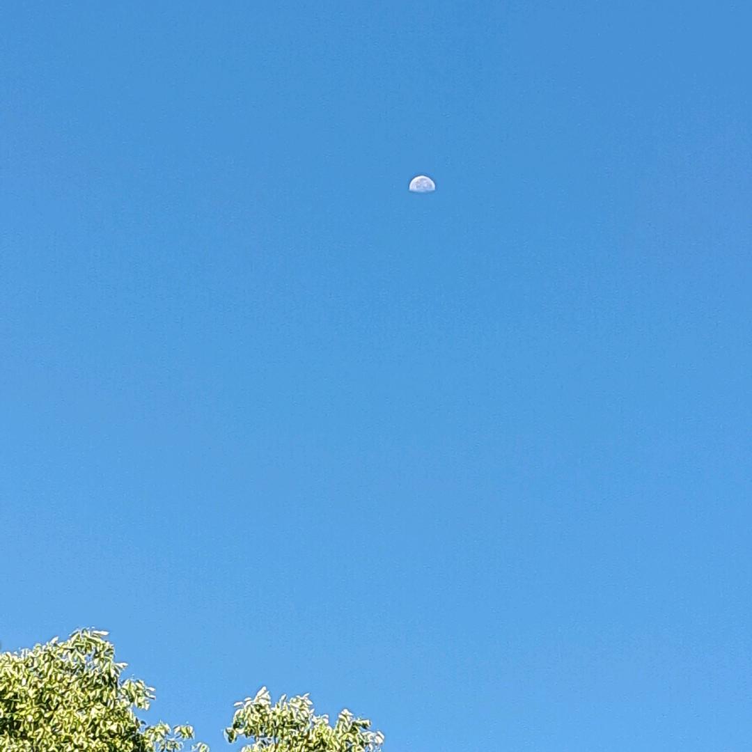 看淡一点