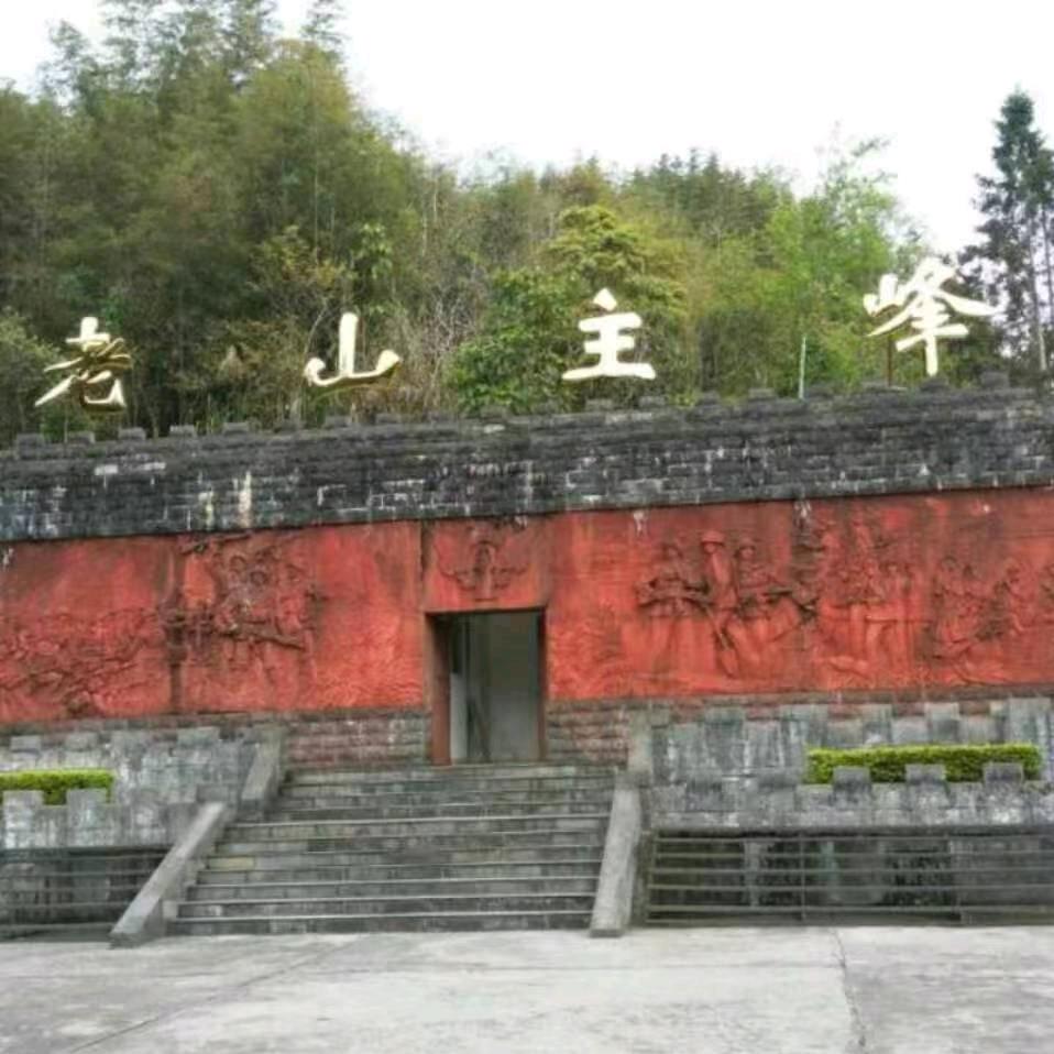 越战退役