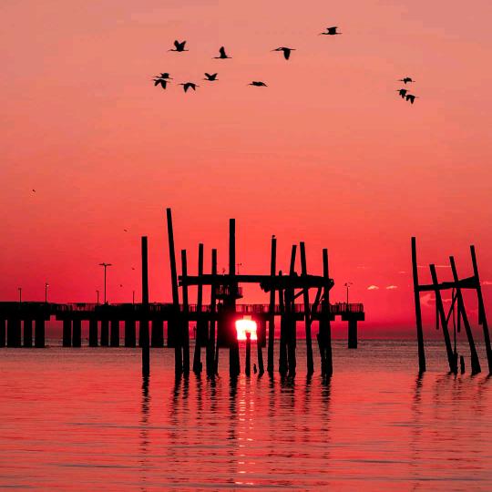 东台英语高端理念