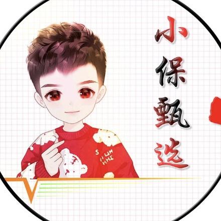 小保甄选