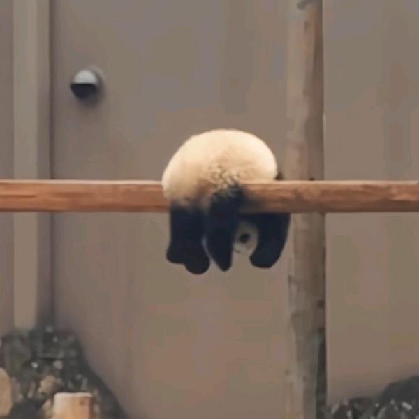 我超特儿的