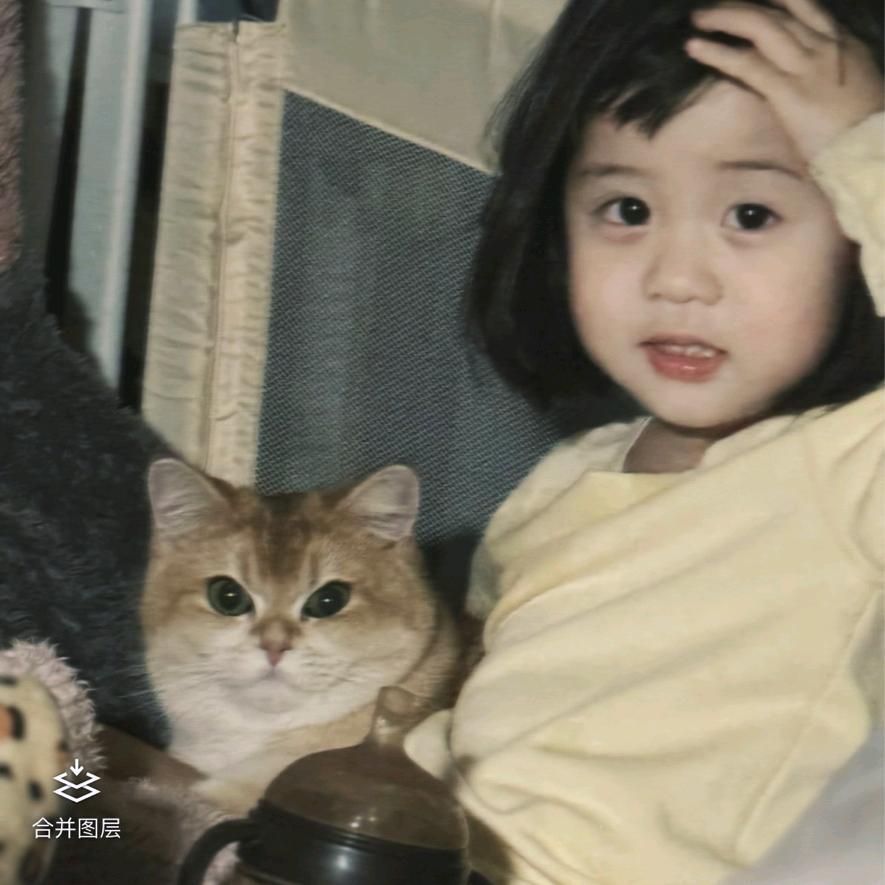 啦啦噜耶宝宝们