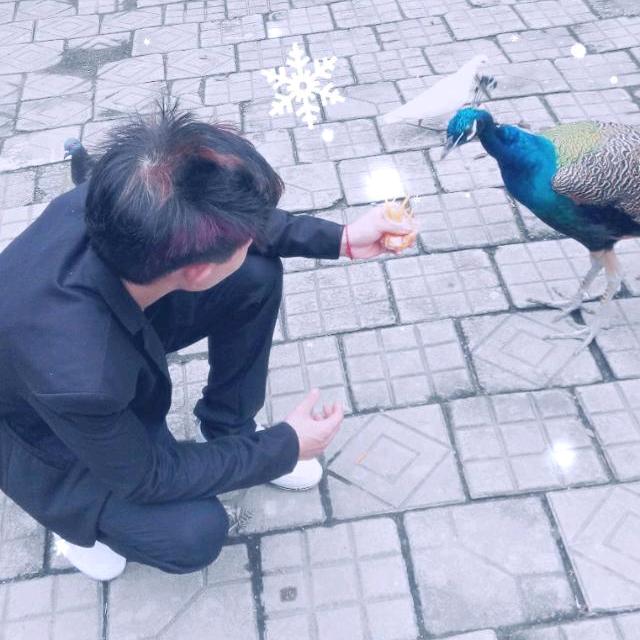 ζޓއއζޓއއ木子