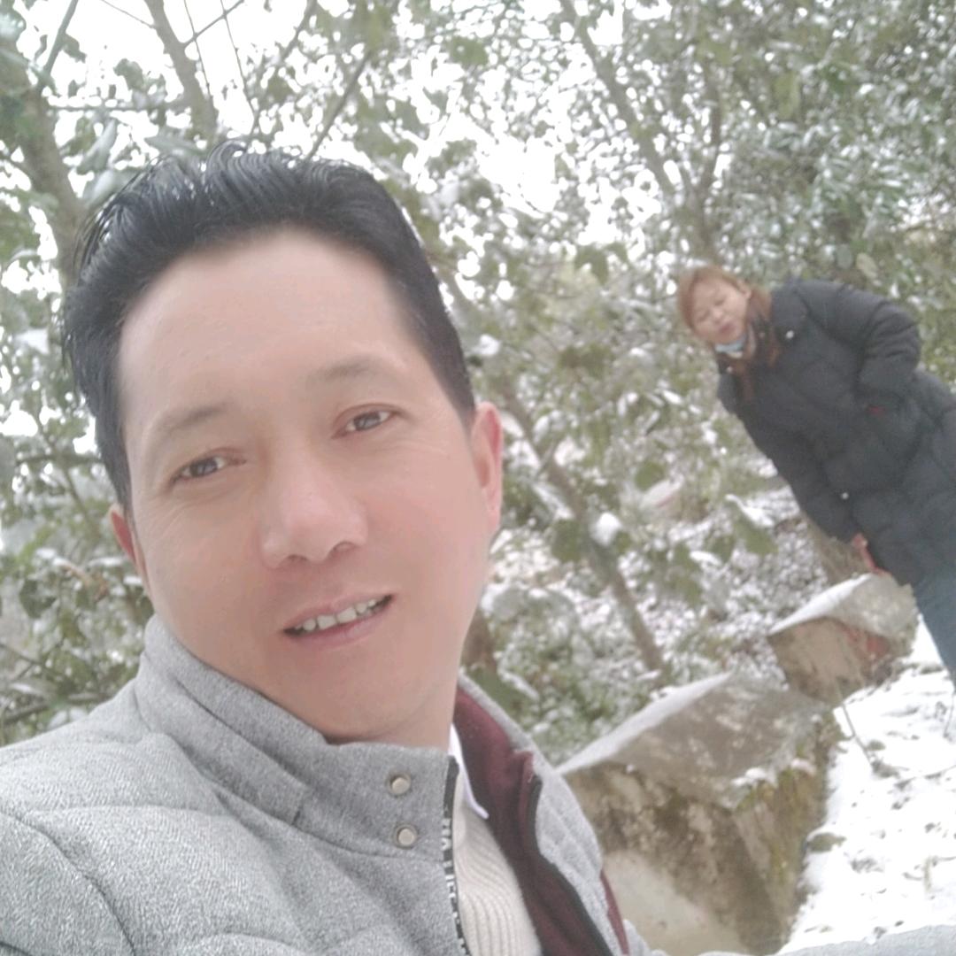 杨歌，