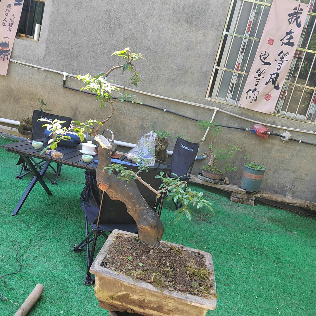 狼魂，2203366258118