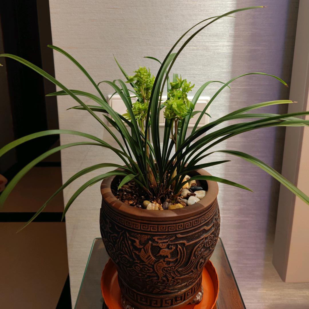 Joe宝宝