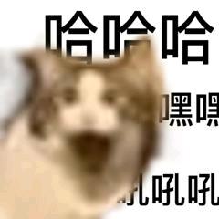 招财小二