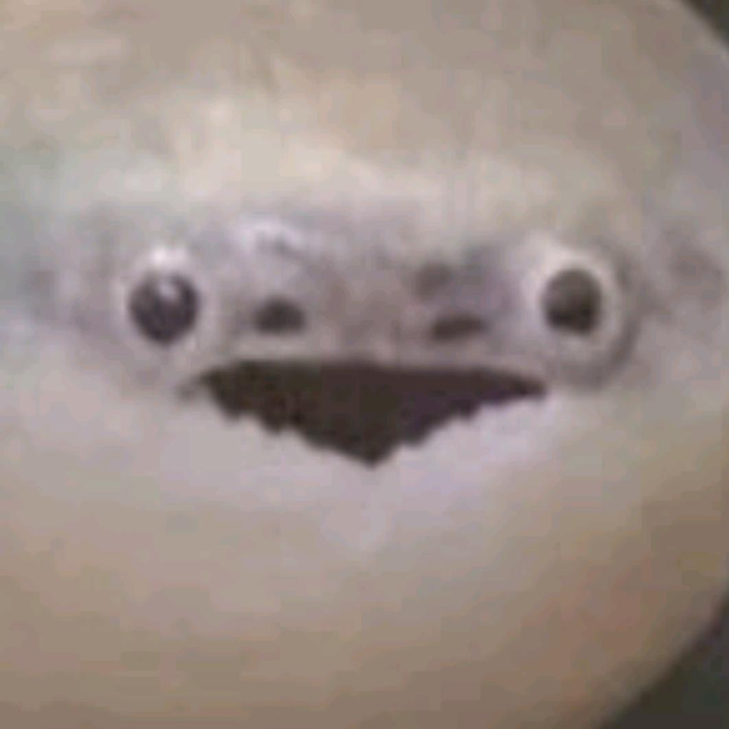 サカバン・スッポン