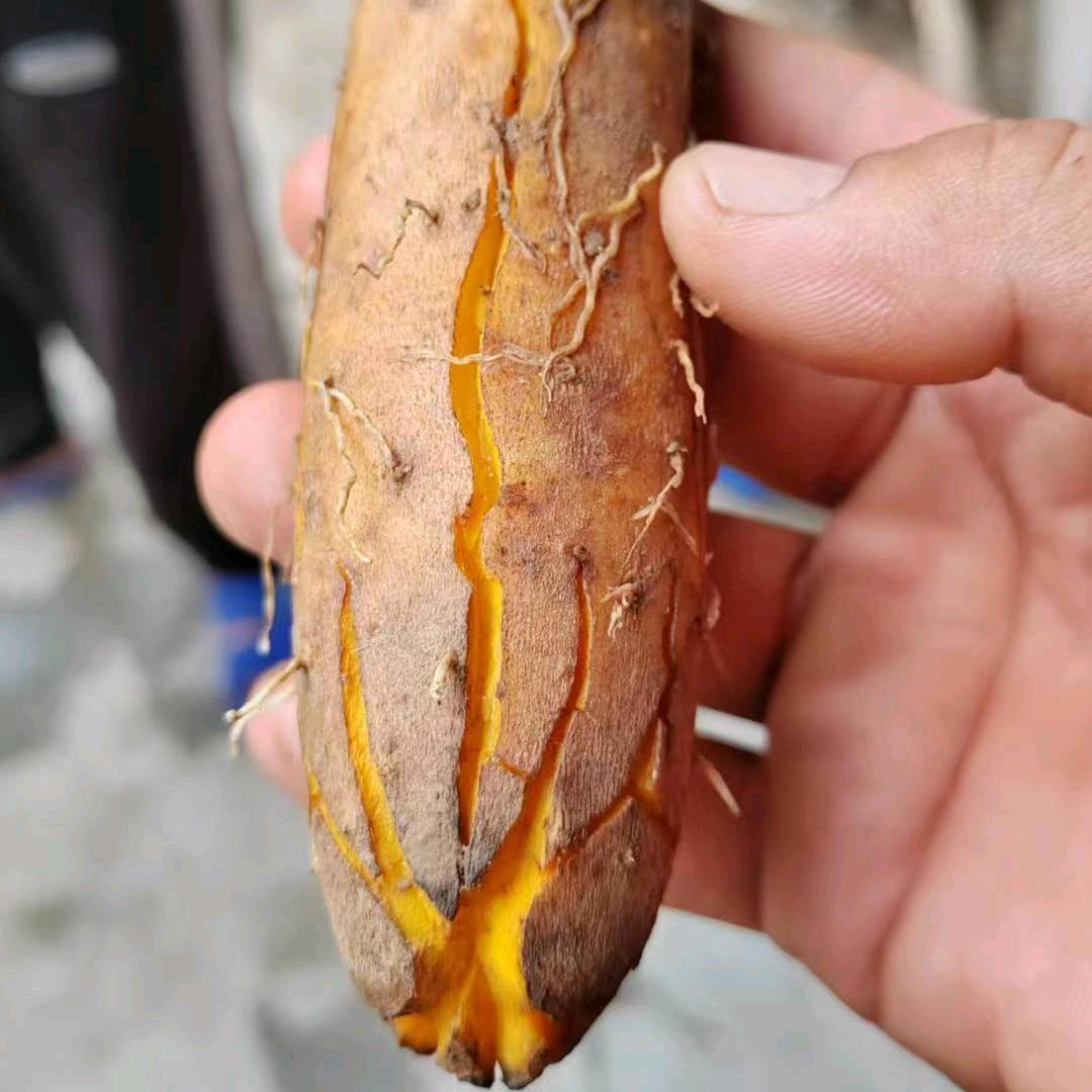 蠡县康作农资销售中心