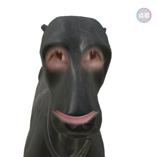 会唱歌的siao狗狗