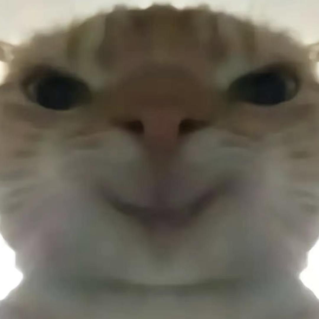 GV”i