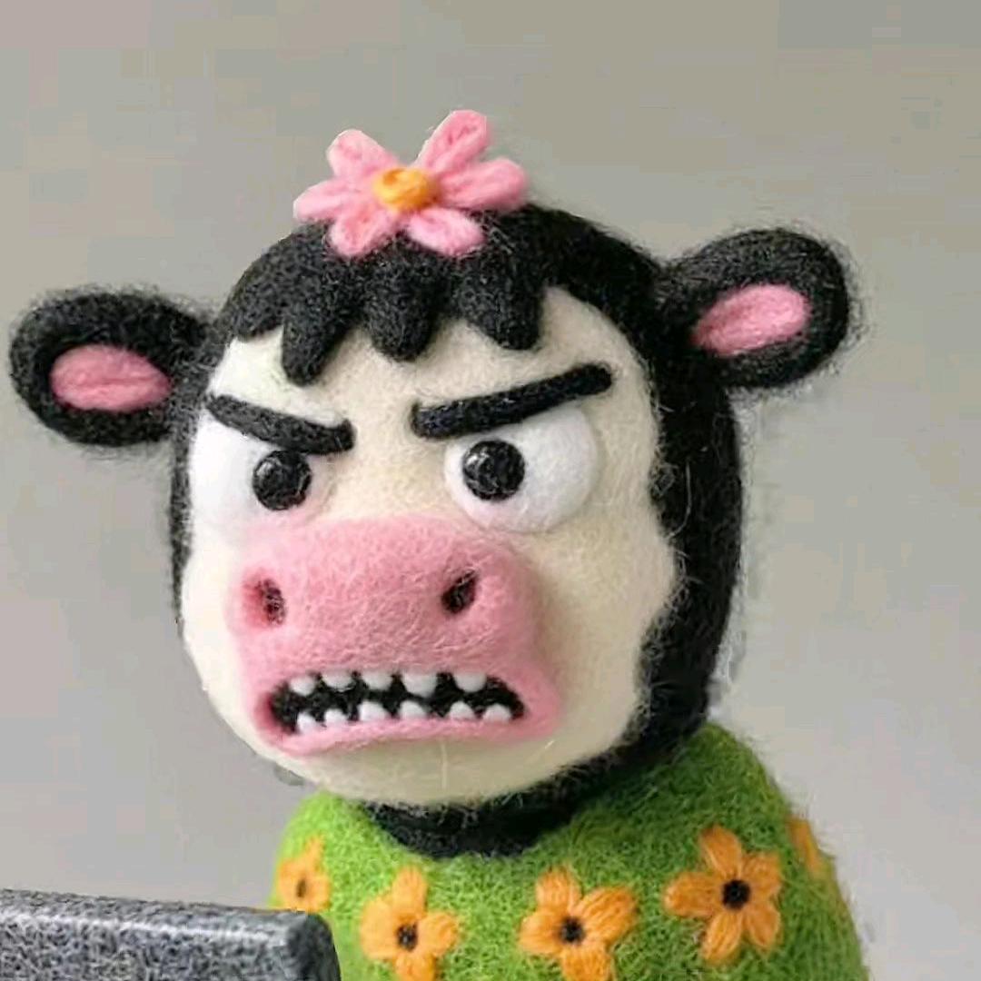 小鲨鱼的鱼