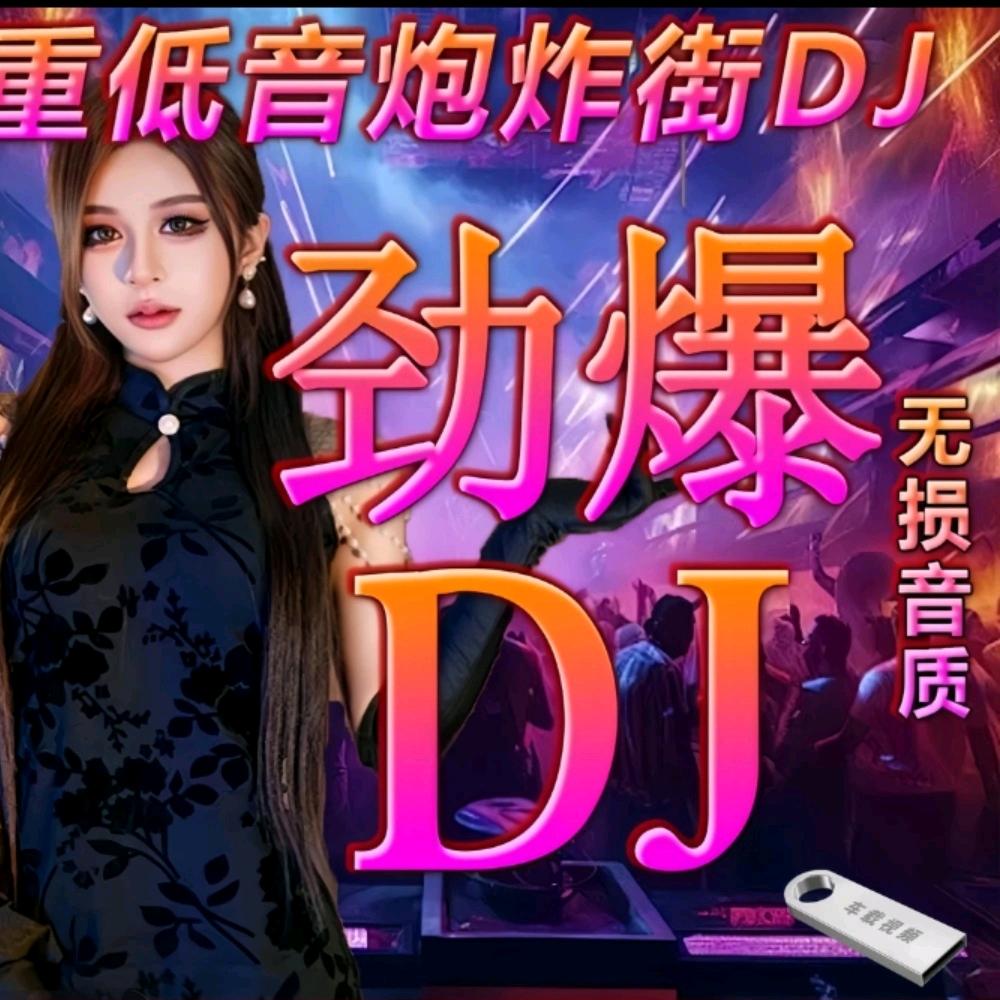 老王Dj（U盘）