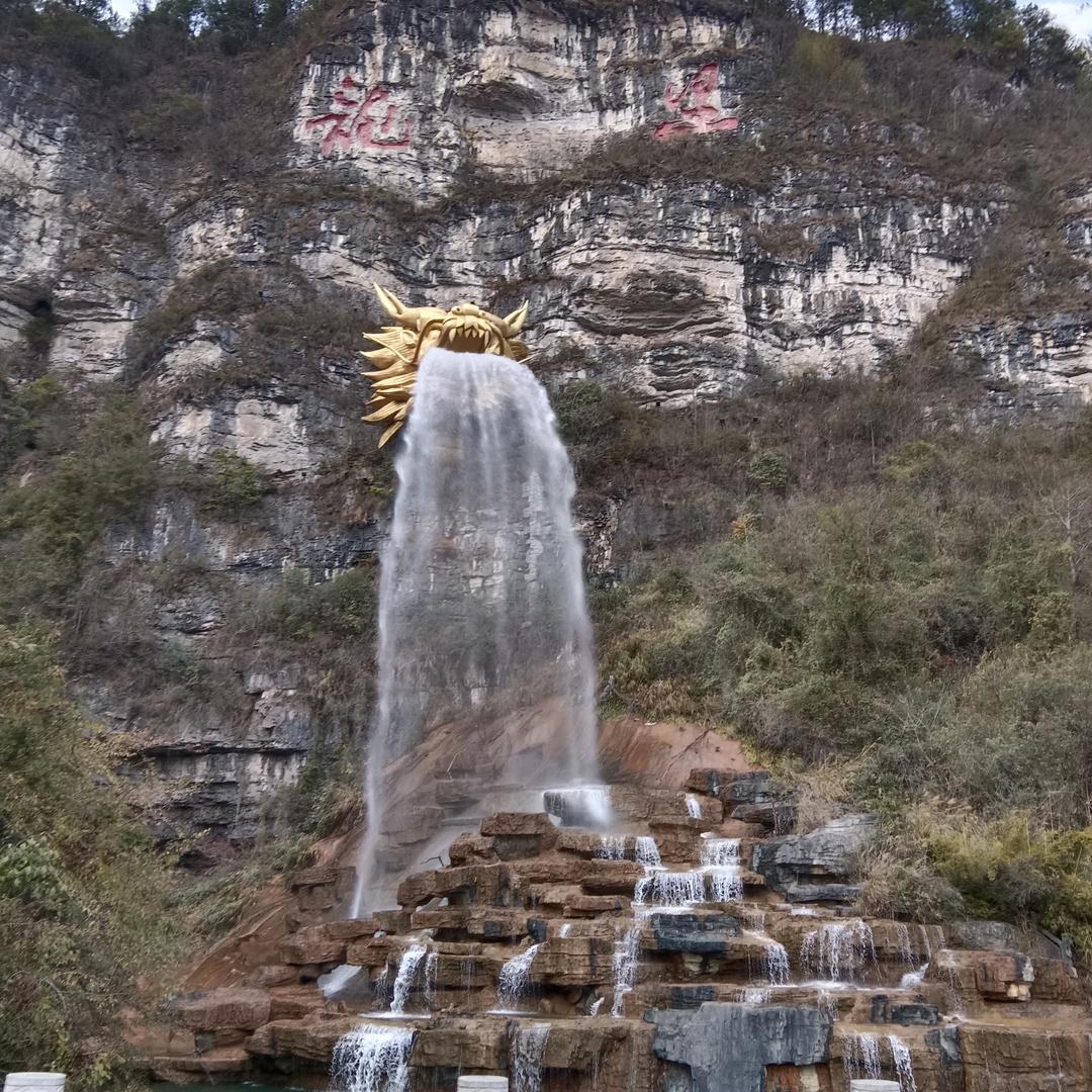 《汪哥》🐉