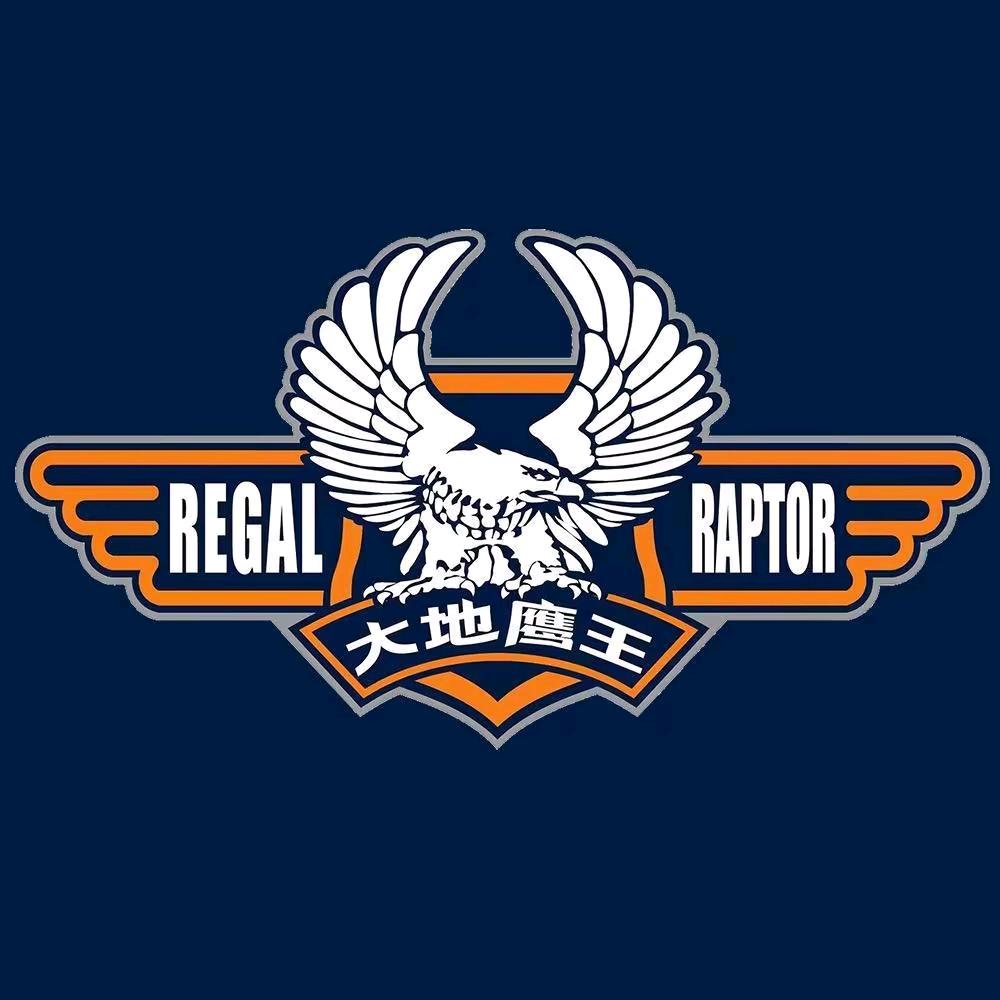 大地鹰王摩托车