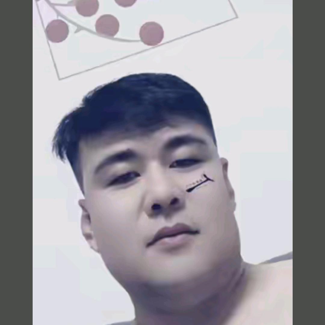辽D:闫大龙