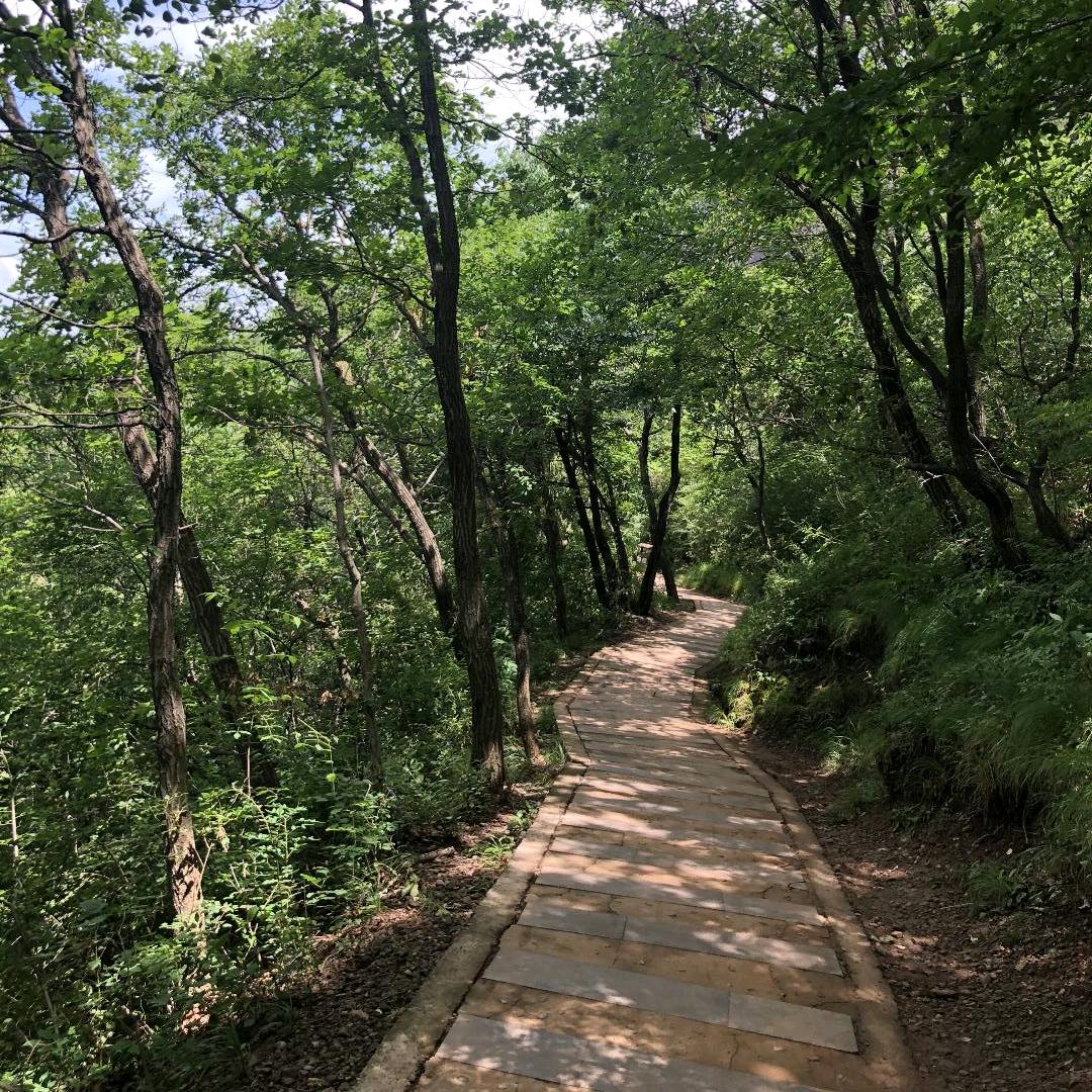 静心（陕西海外旅游）