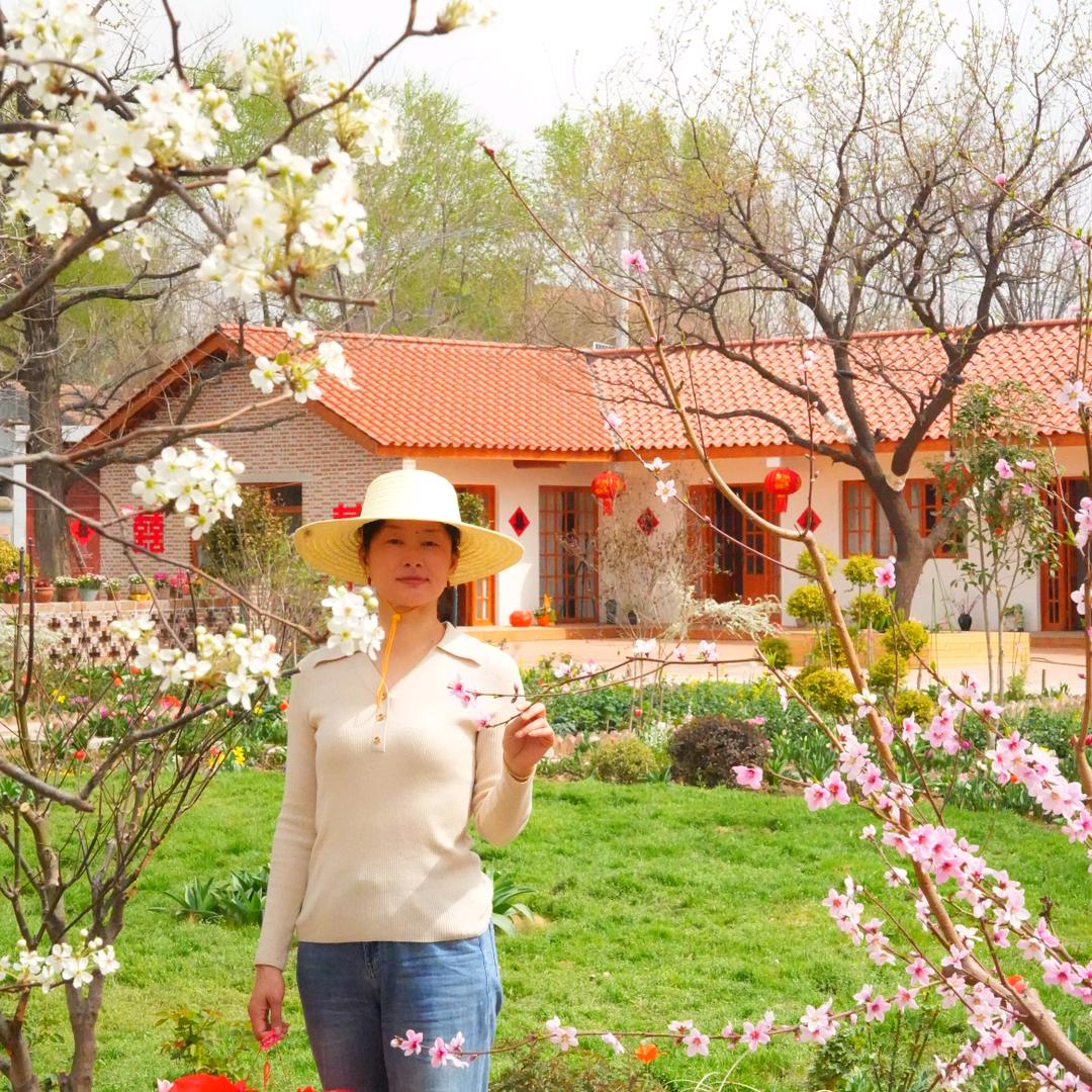 宜岚的小院日记