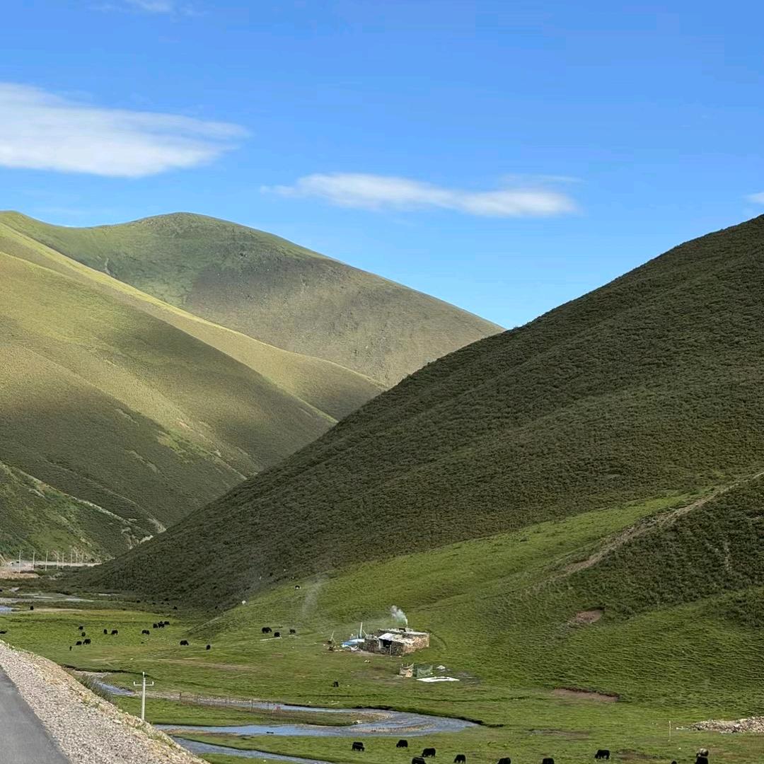 宠膳优养源头厂