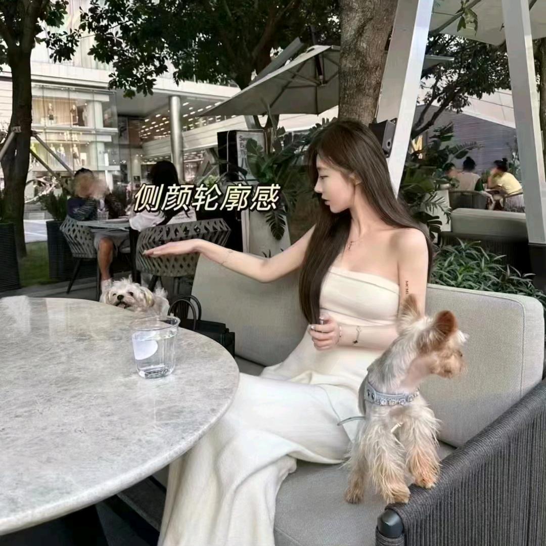 凤冠.美圣美邦.盼盼