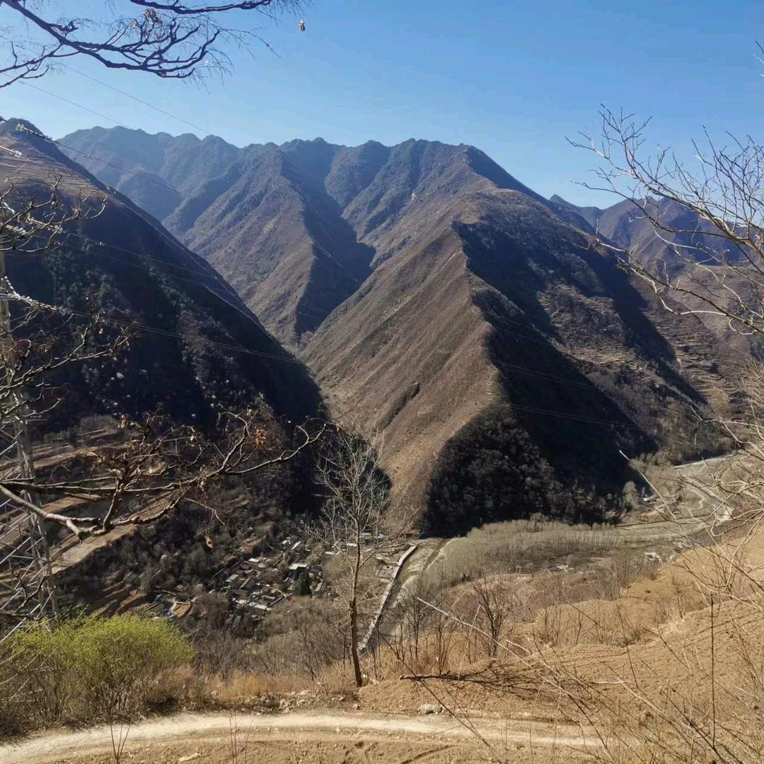 逍遥游