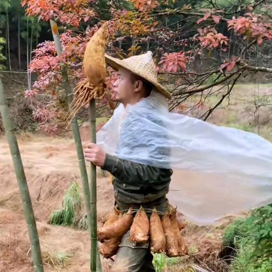 冯宝岩