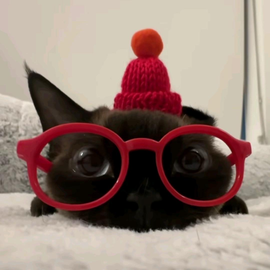 死亡极限翻滚缤纷比目鱼