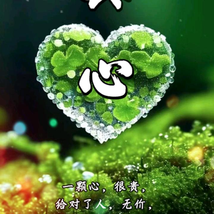 周良天天好心情