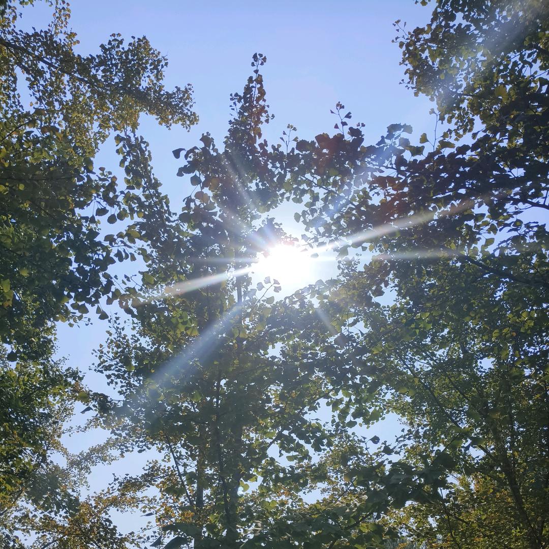 破碎维度八月二十号