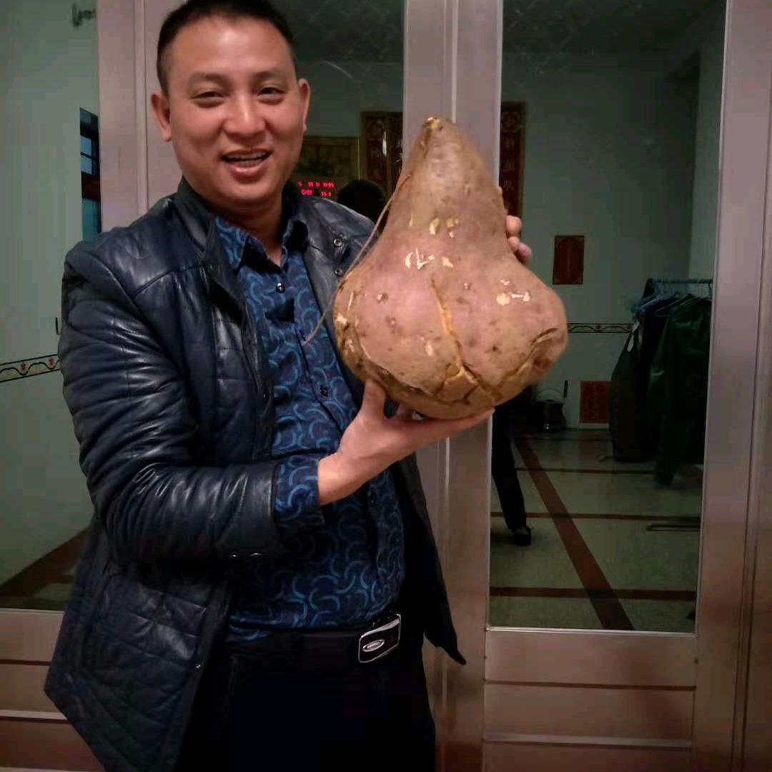 乡村敏哥