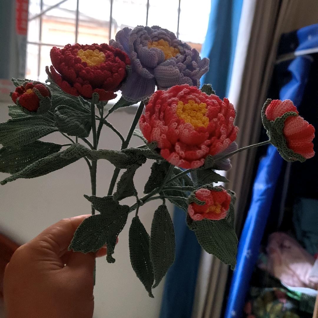 慧慧