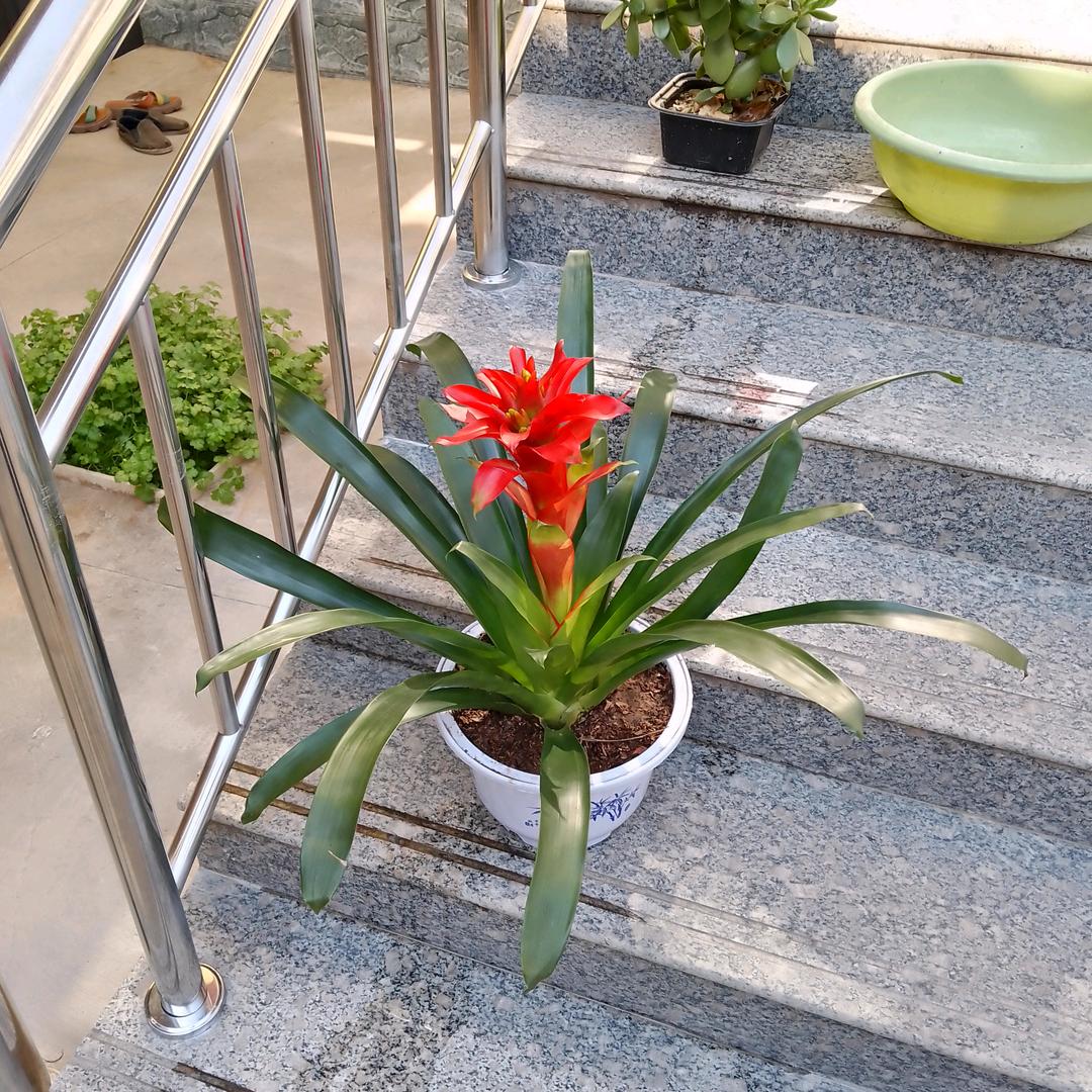 老常百货