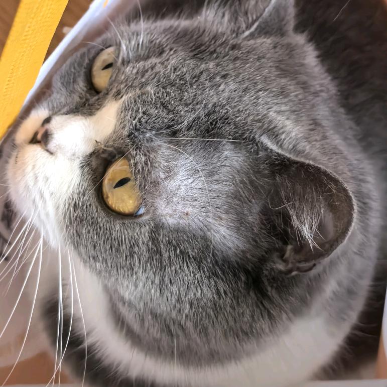 当诗人丢了墨水