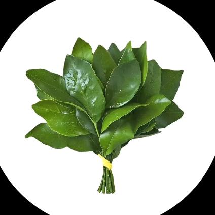 集齐保时捷碎片（武生院洗衣洗鞋找我）