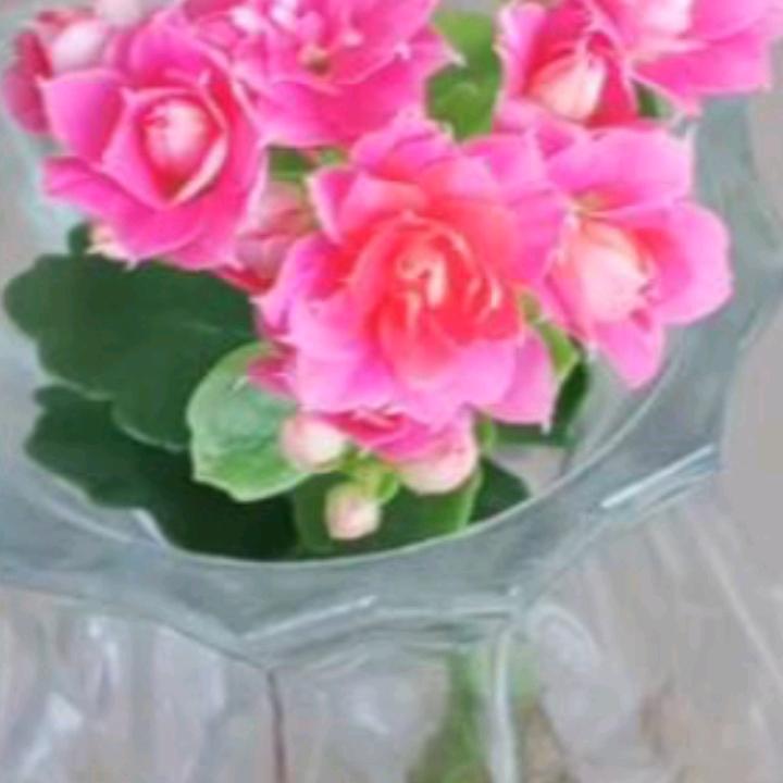 用户9736094647811