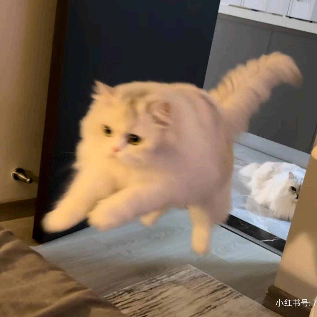 一切全凭我乐意
