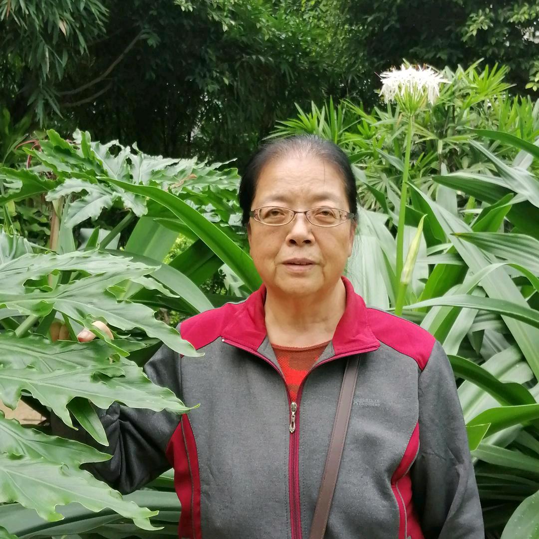 兰花火焰