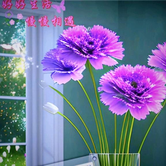 无雪的冬天