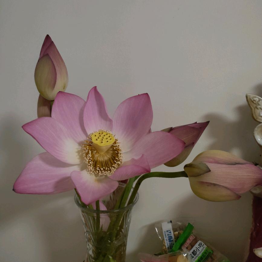 花非花雾